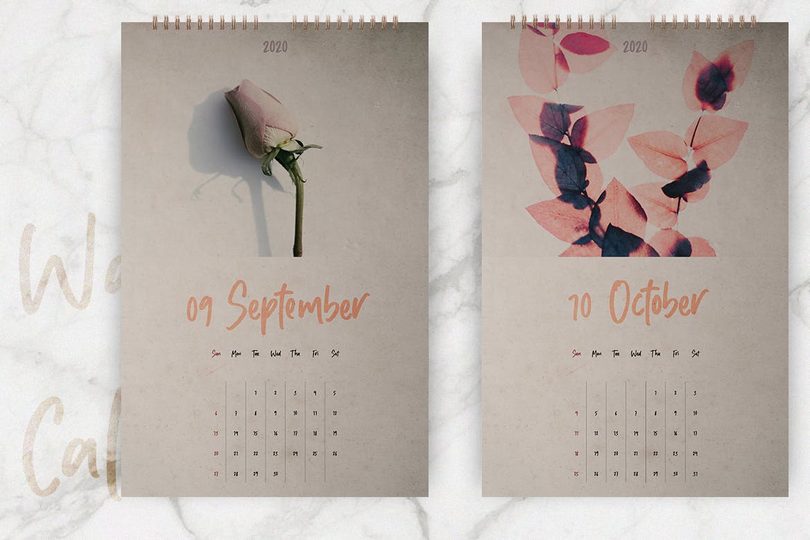 2020年植物花卉图案挂墙日历设计模板 Wall Calendar 2020 Layout插图(5)