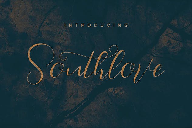 创意手写英文书法字体下载 Southlove Script Font插图(4)
