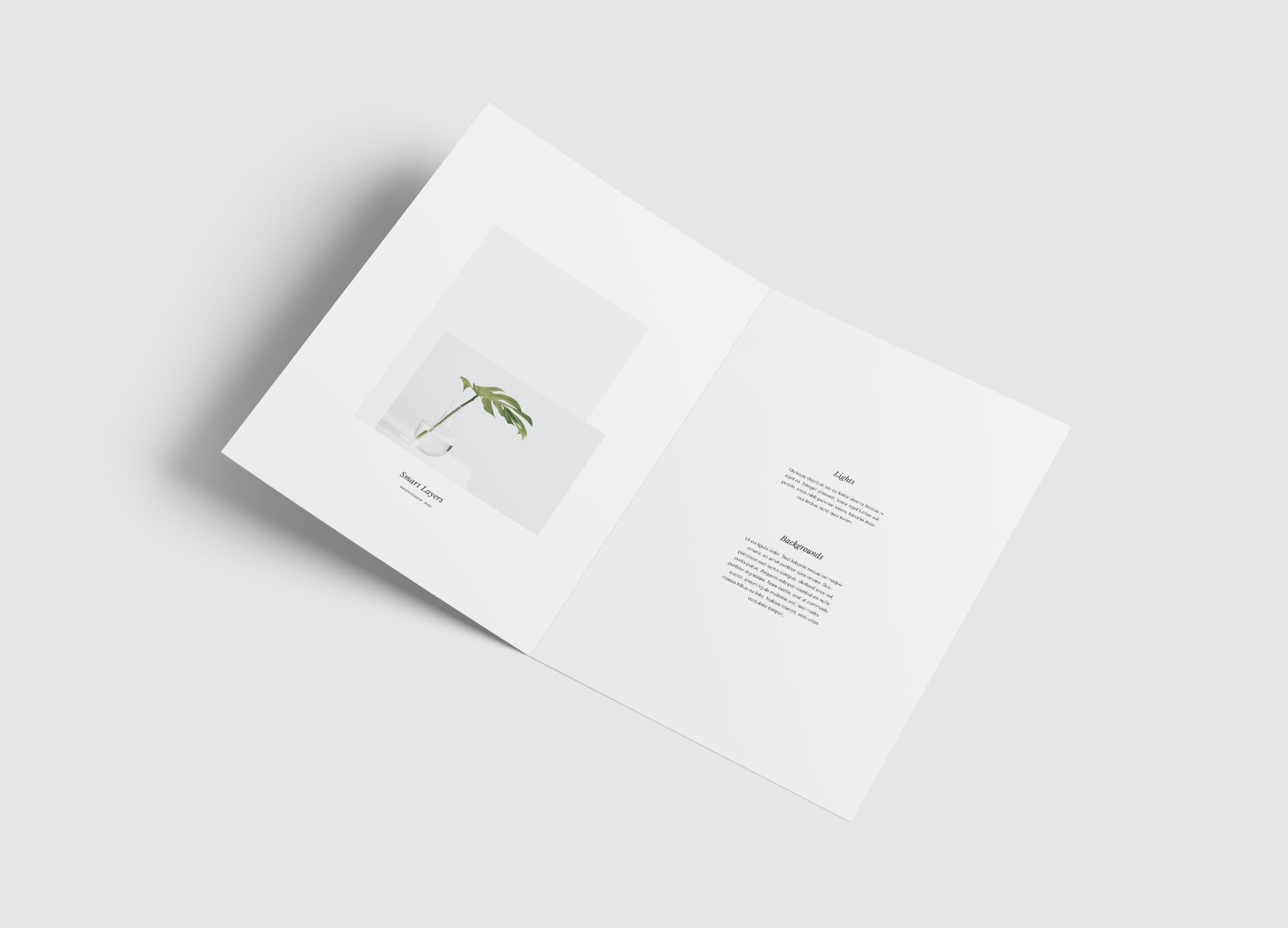 A4尺寸大小双折传单设计内页版式效果图样机模板 A4 Bifold Brochure Mockup插图(7)