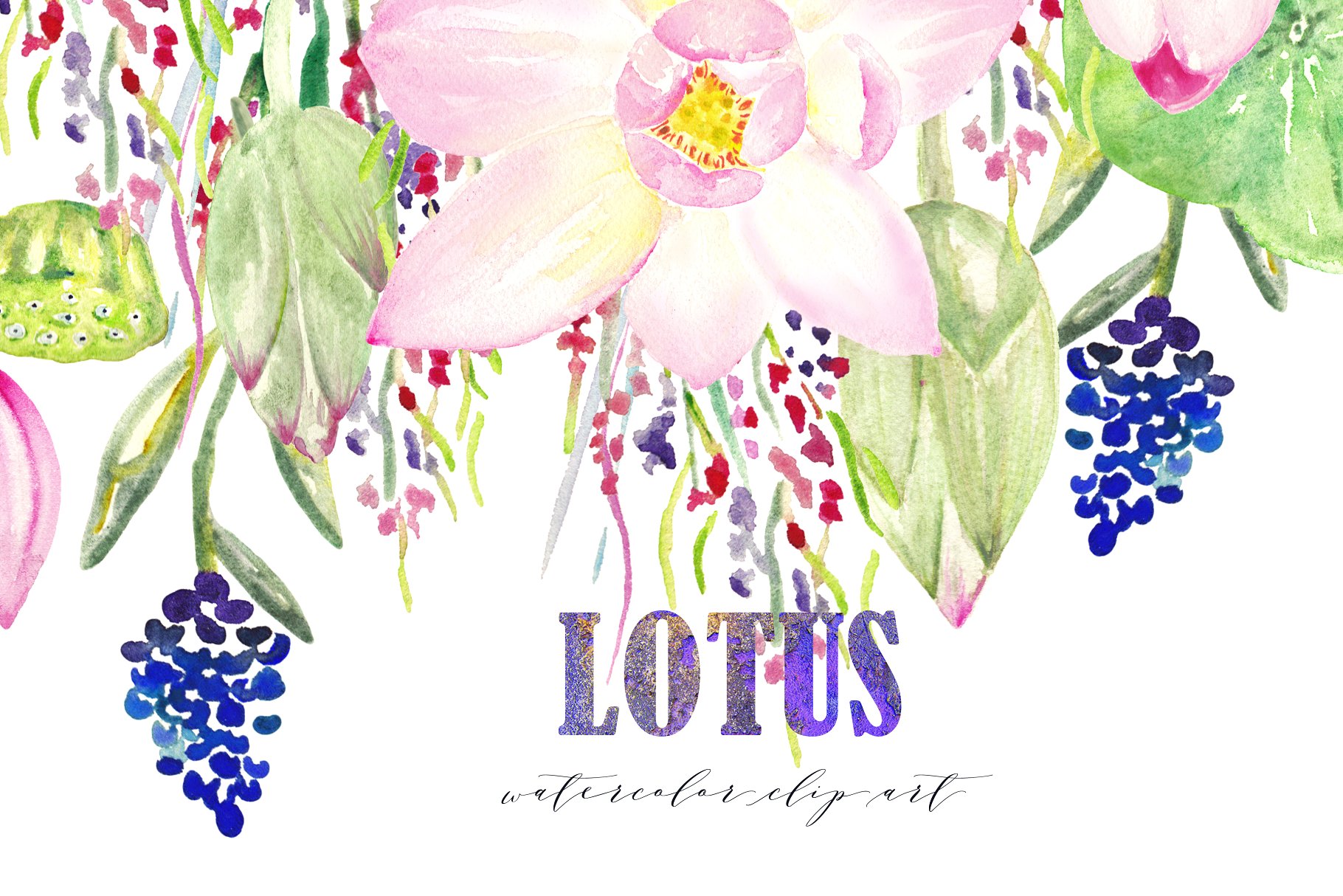 粉色莲花水彩剪贴画 Pink Lotus. Watercolor Clipart.插图(1)