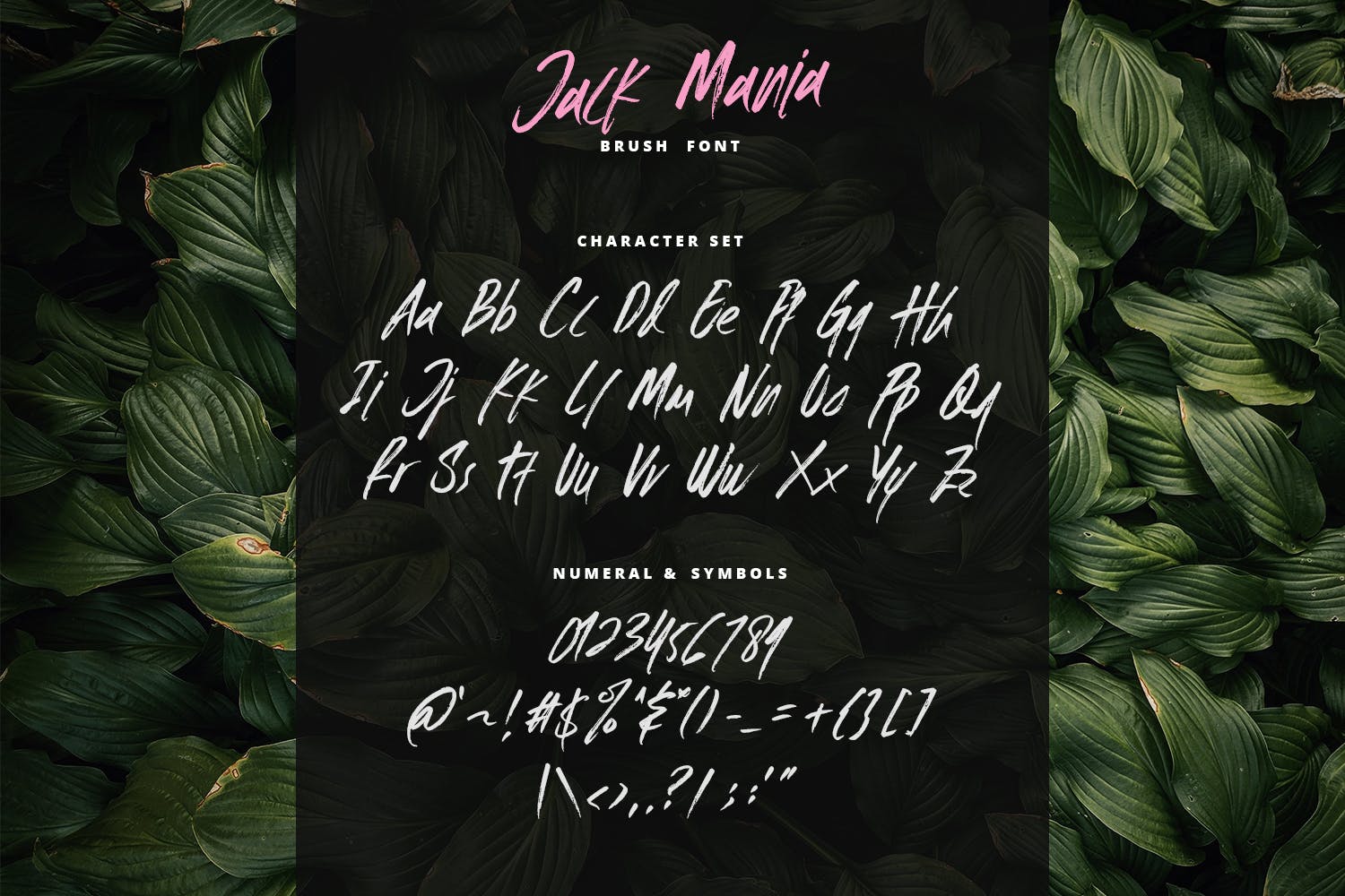手工绘制英文画笔笔刷书法字体 The JACK MANIA Brush Font插图(6)
