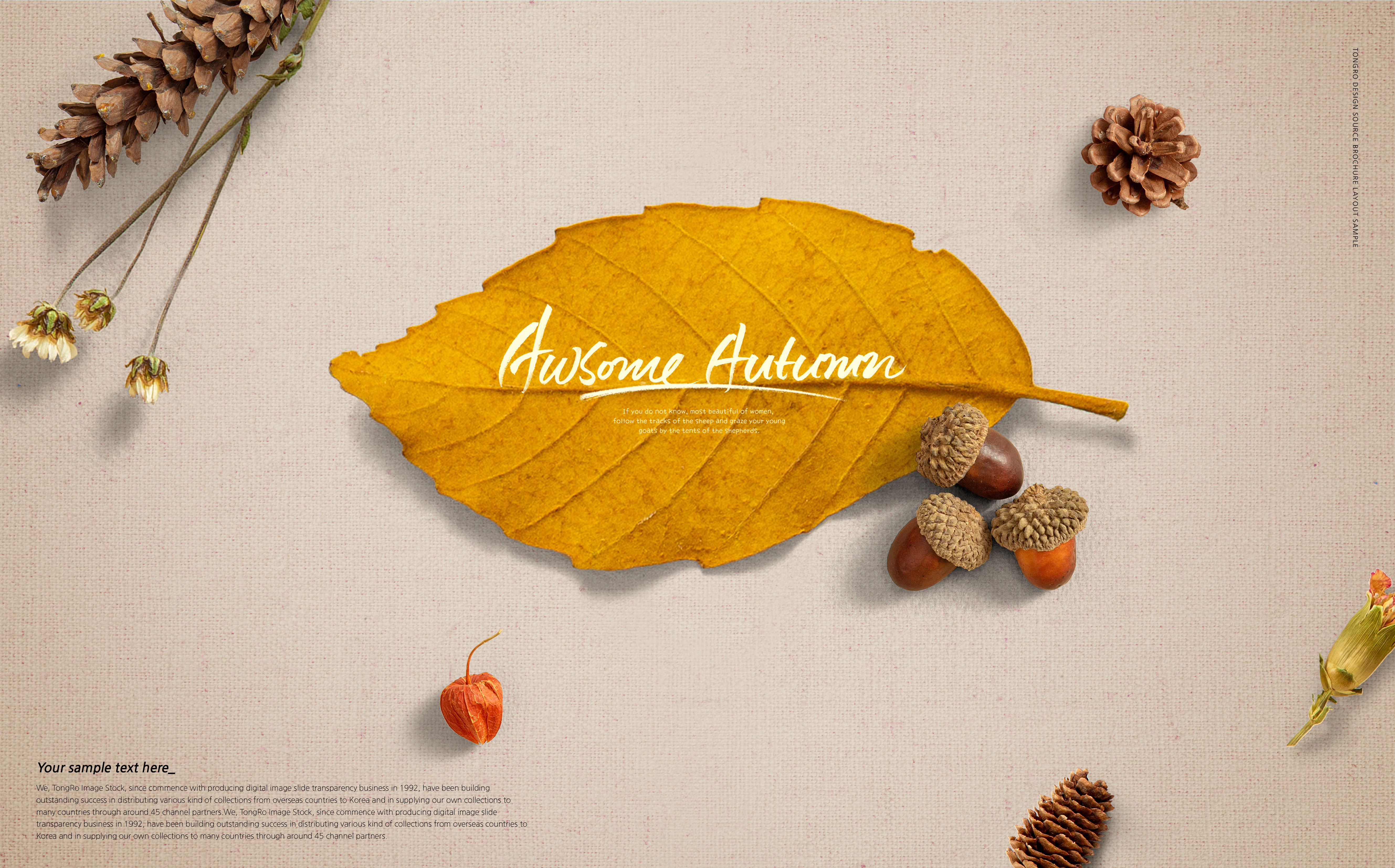 秋天黄叶秋季主题海报图片设计素材插图