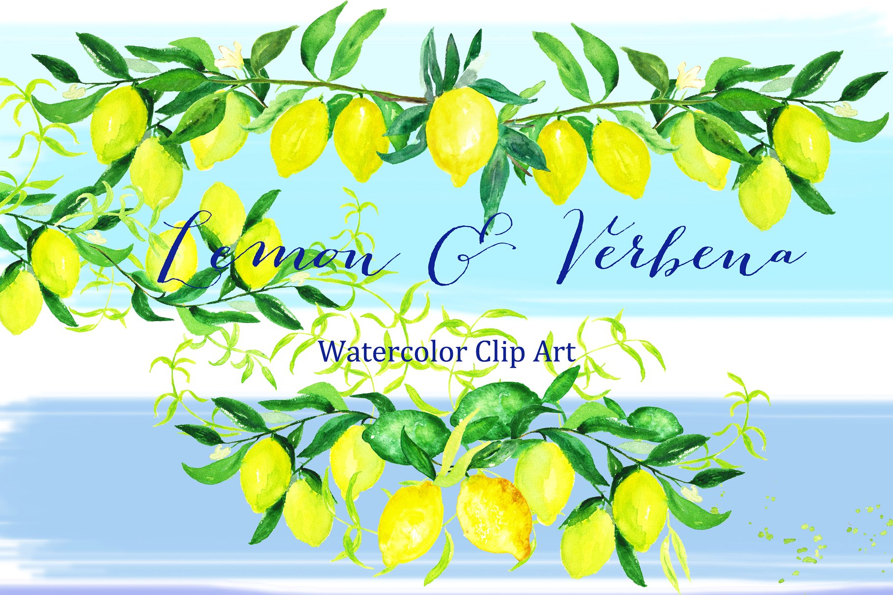 浪漫温柔的水彩柠檬马鞭草元素 Lemon & verbena. watercolors插图