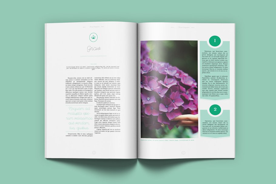 极简主义盆栽景观通用杂志模板 Floral Magazine插图(2)