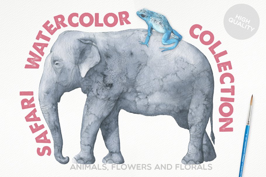 冒险之旅水彩素材合集（飞禽走兽、昆虫元素、纹理&额外的字体） Safari Watercolor Collection Pro插图