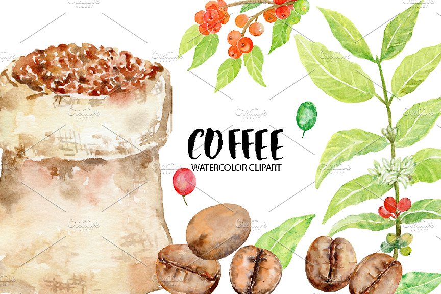 手绘水彩咖啡豆种植剪贴画 Watercolor Coffee Beans Clipart插图