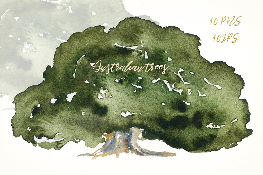 澳大利亚本土树木水彩剪贴画 Australian native trees. Watercolors插图(2)