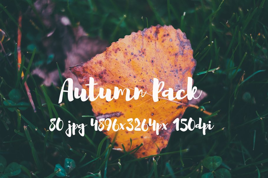 秋天主题高清风景照片素材 Autumn photo Pack插图(8)