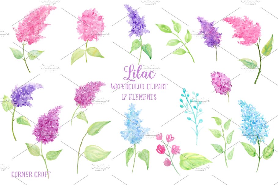 水彩丁香花剪贴画素材 Watercolor Lilac Flowers插图(1)