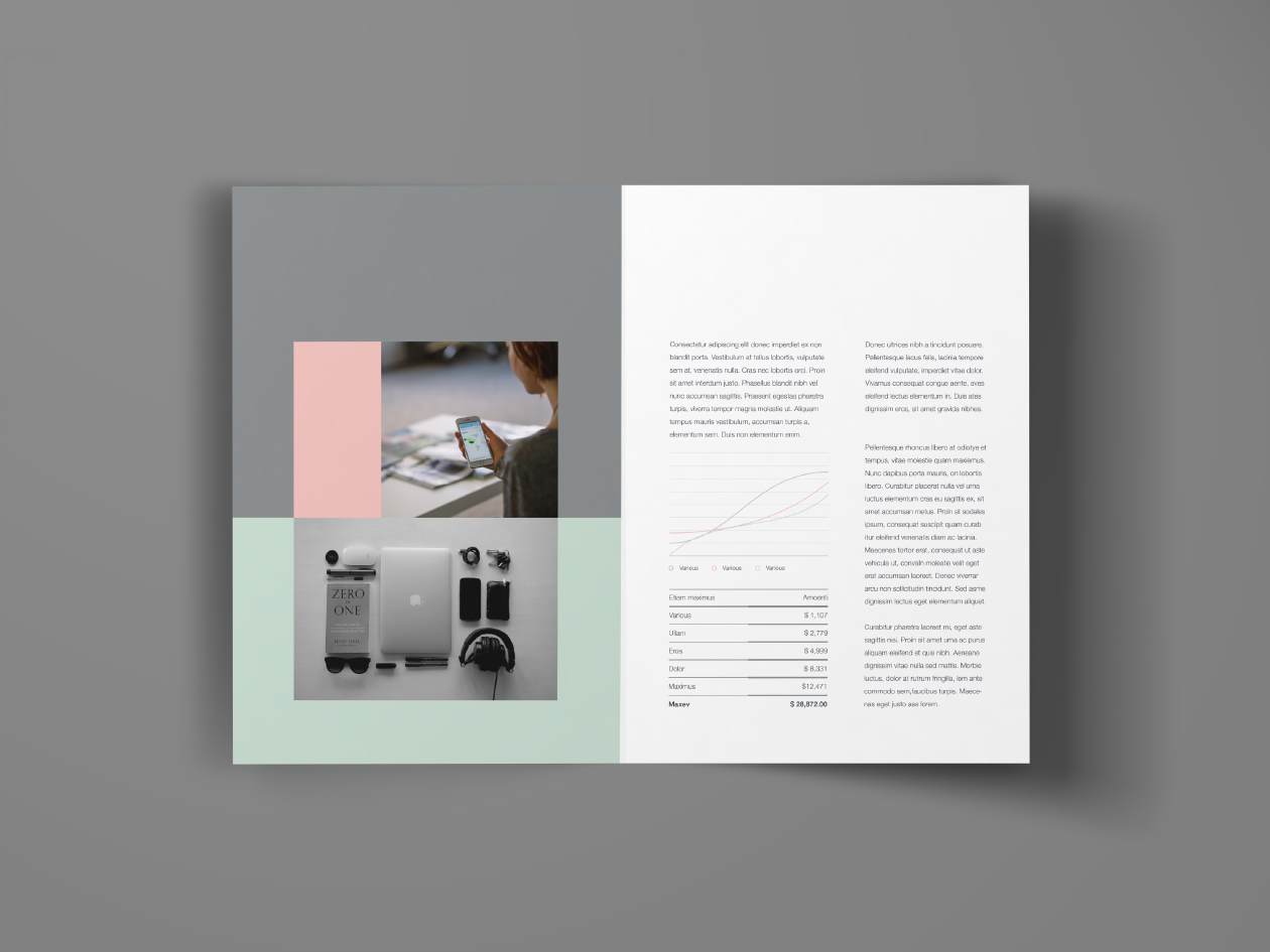 对折页企业宣传单设计模板 Bifold Brochure Template插图(1)