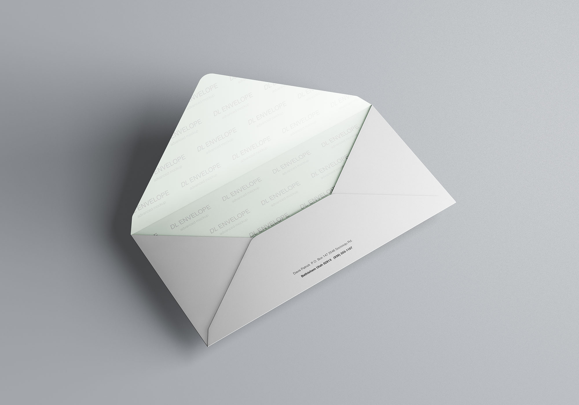 企业信封设计图样机模板 Baronial DL Envelope Mockup插图(3)
