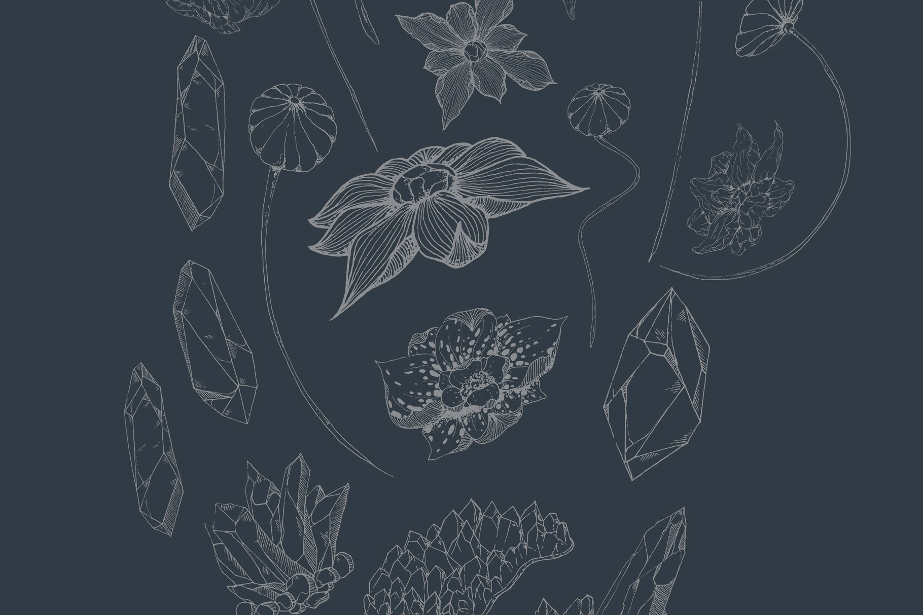 虚实结合黑色背景手绘矢量花卉图形素材 Black Orchid Illustration Set插图(4)