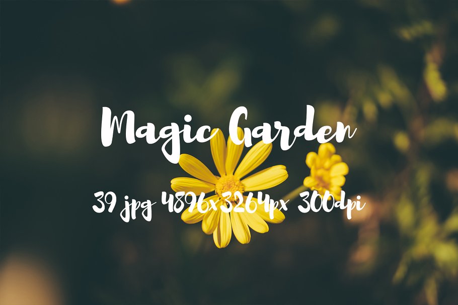 秘密花园花卉植物高清照片素材 Magic Garden photo pack插图(2)
