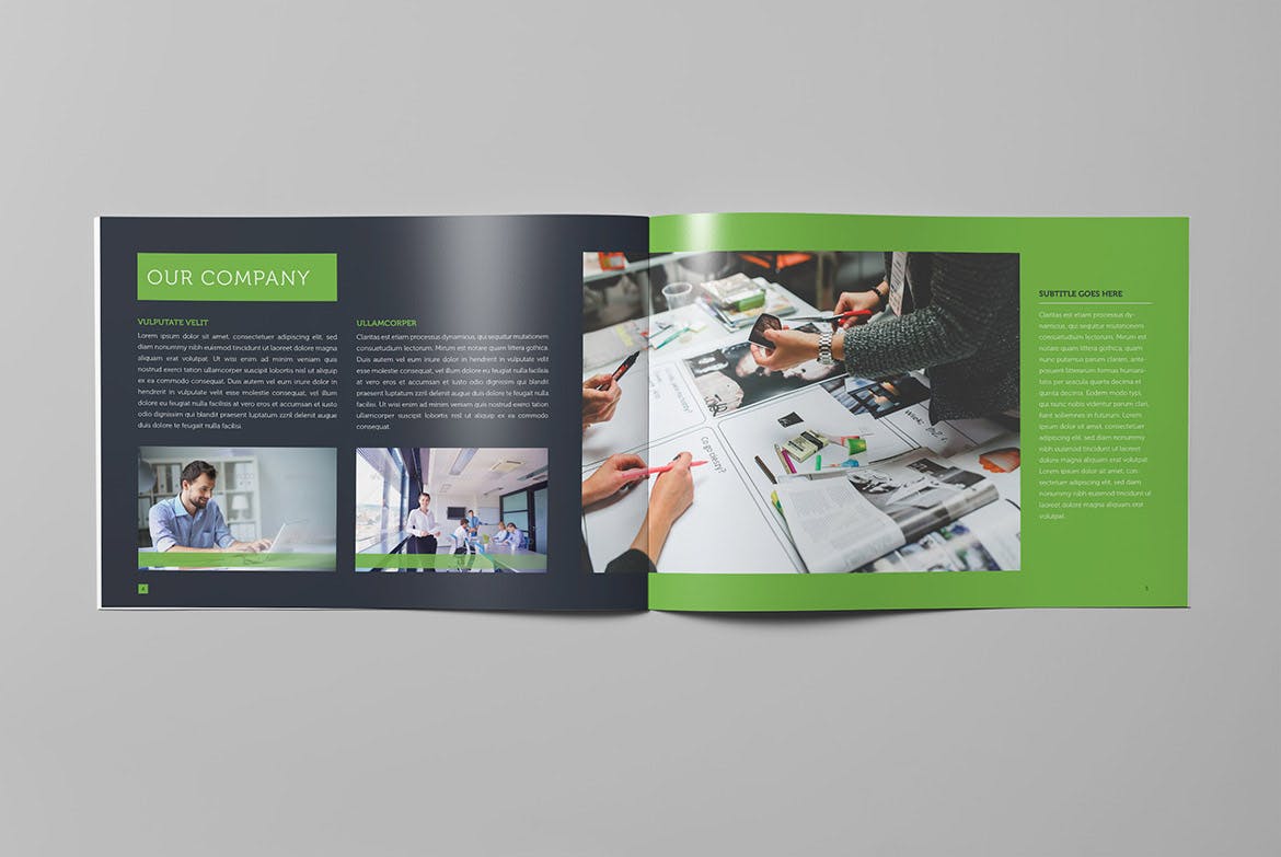 大型上市公司宣传画册设计模板 Corporate Business Landscape Brochure插图(2)