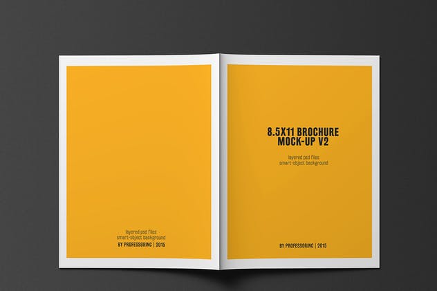 企业商务画册/目录样机 8.5×11 Brochure / Catalogue Mock-up插图(5)