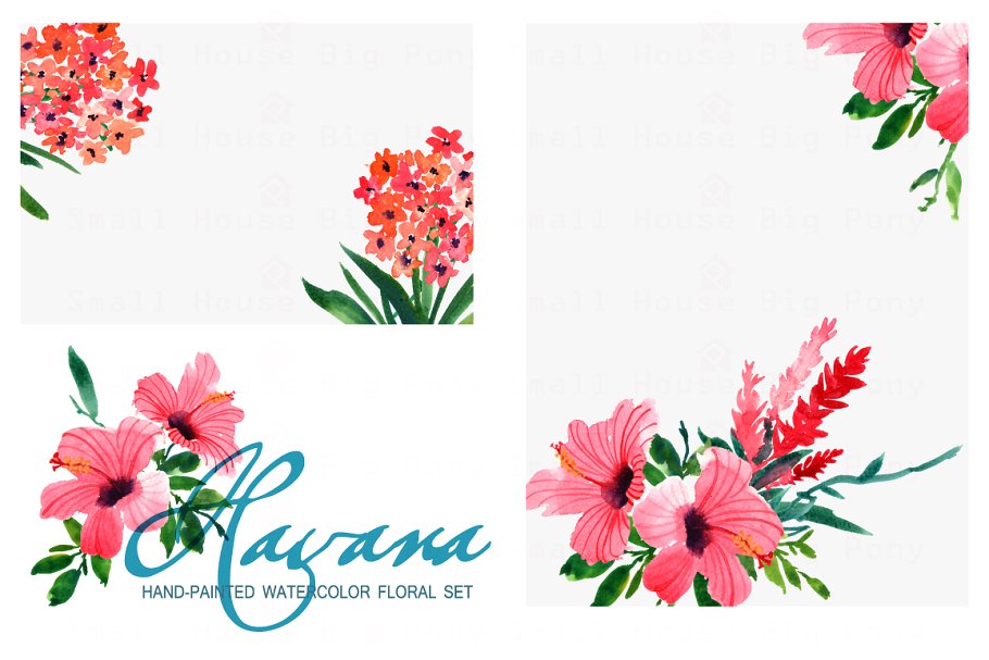 水彩花卉艺术剪贴画 Havana- Watercolor Clip Art插图(2)