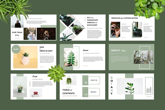 环境景观主题企业PPT幻灯片模板 Botany Powerpoint Presentation插图(3)