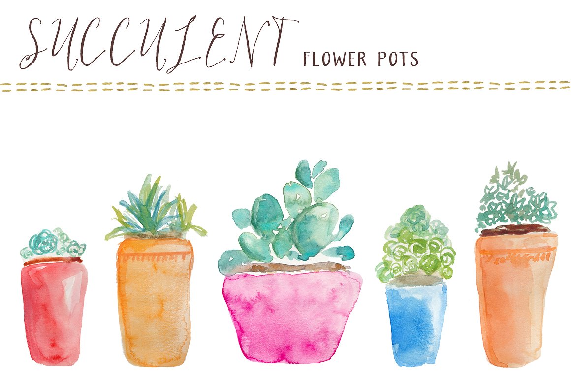 水彩多肉盆栽植物插画素材 Watercolor Succulents Flower Pots插图