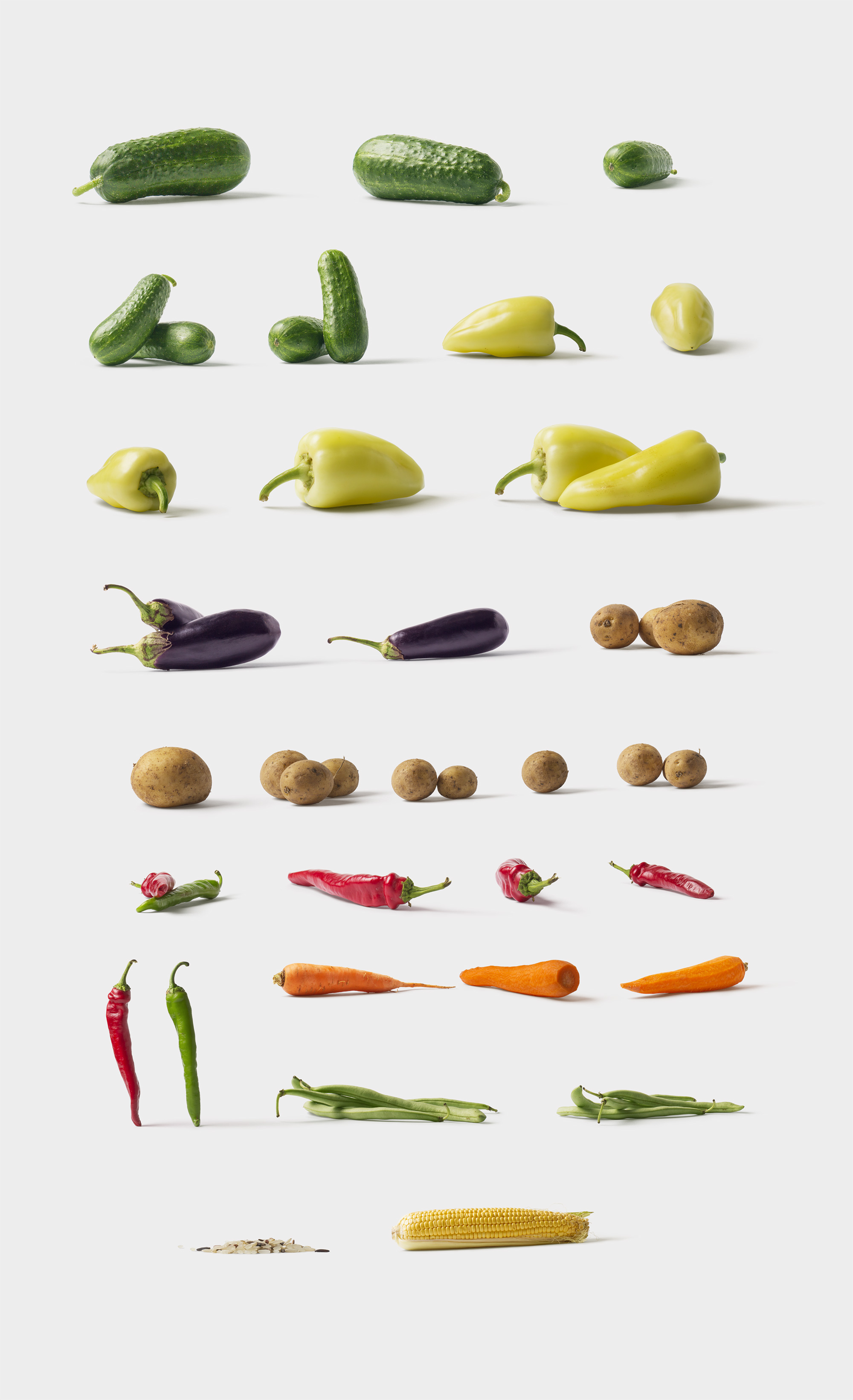 海量蔬菜水果高清实物照片样机素材Fruits and Vegetables插图(5)