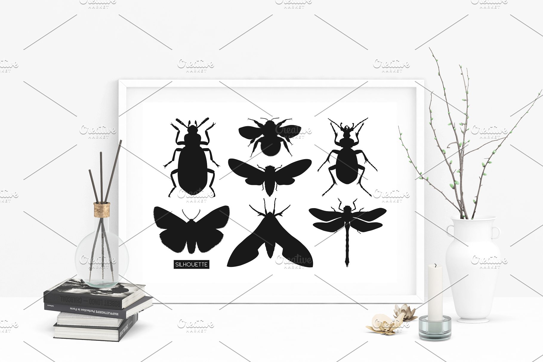 昆虫矢量插图集 Vector Insects Illustrations Set插图(11)