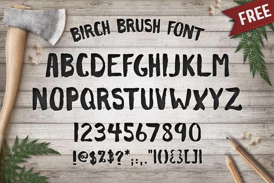西方乡村元素+字体笔刷 Rustica Vol. 3 + Birch Brush Font插图(4)