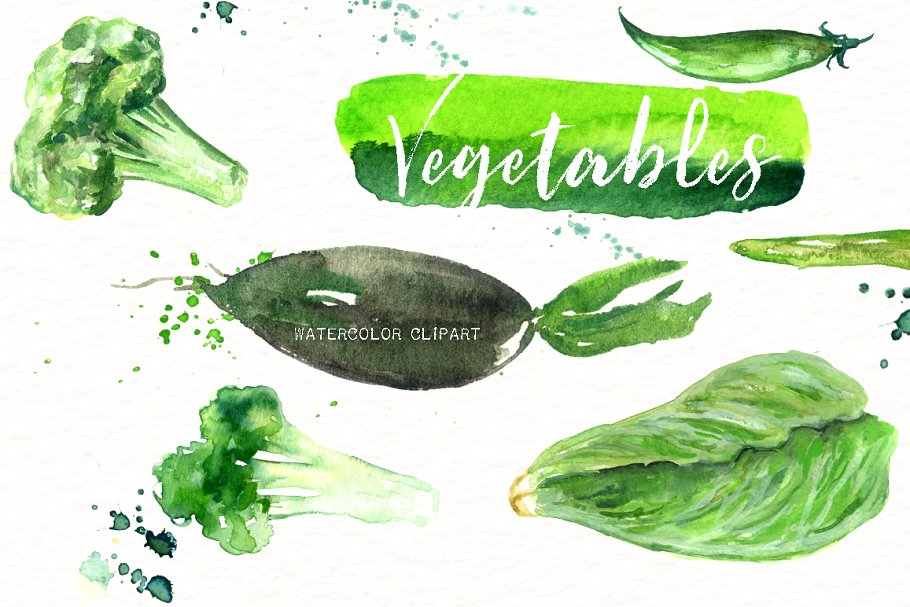 素材素食水彩剪贴画 Vegetables. Vegan Watercolor clipart插图(5)