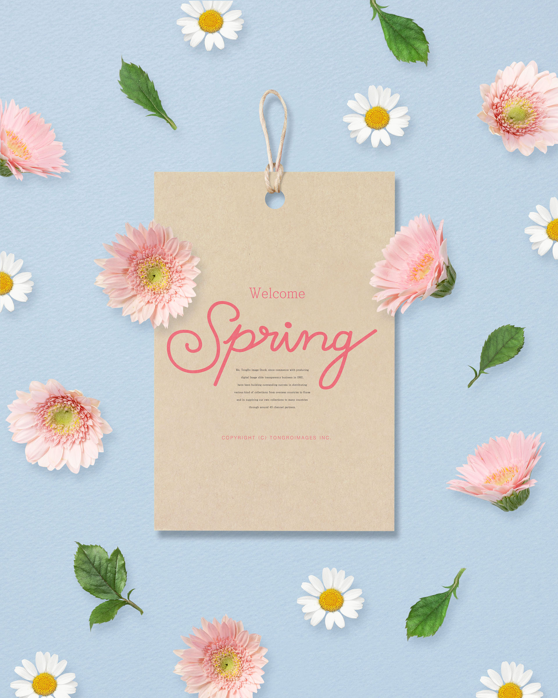 清新的春天氛围创意海报模板PSD插图(1)