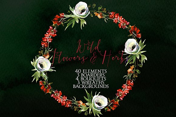 野花草本水彩套装 Wild Flowers & Herbs Watercolor Set插图(8)
