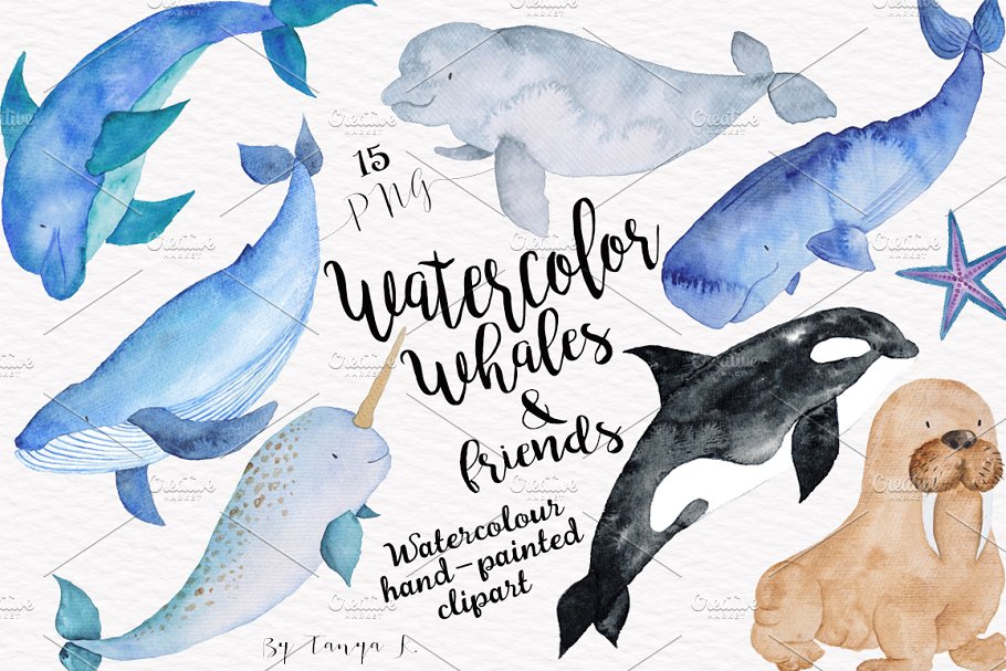 鲸鱼和海洋动物水彩插画 Watercolor Whales and Friends Set插图