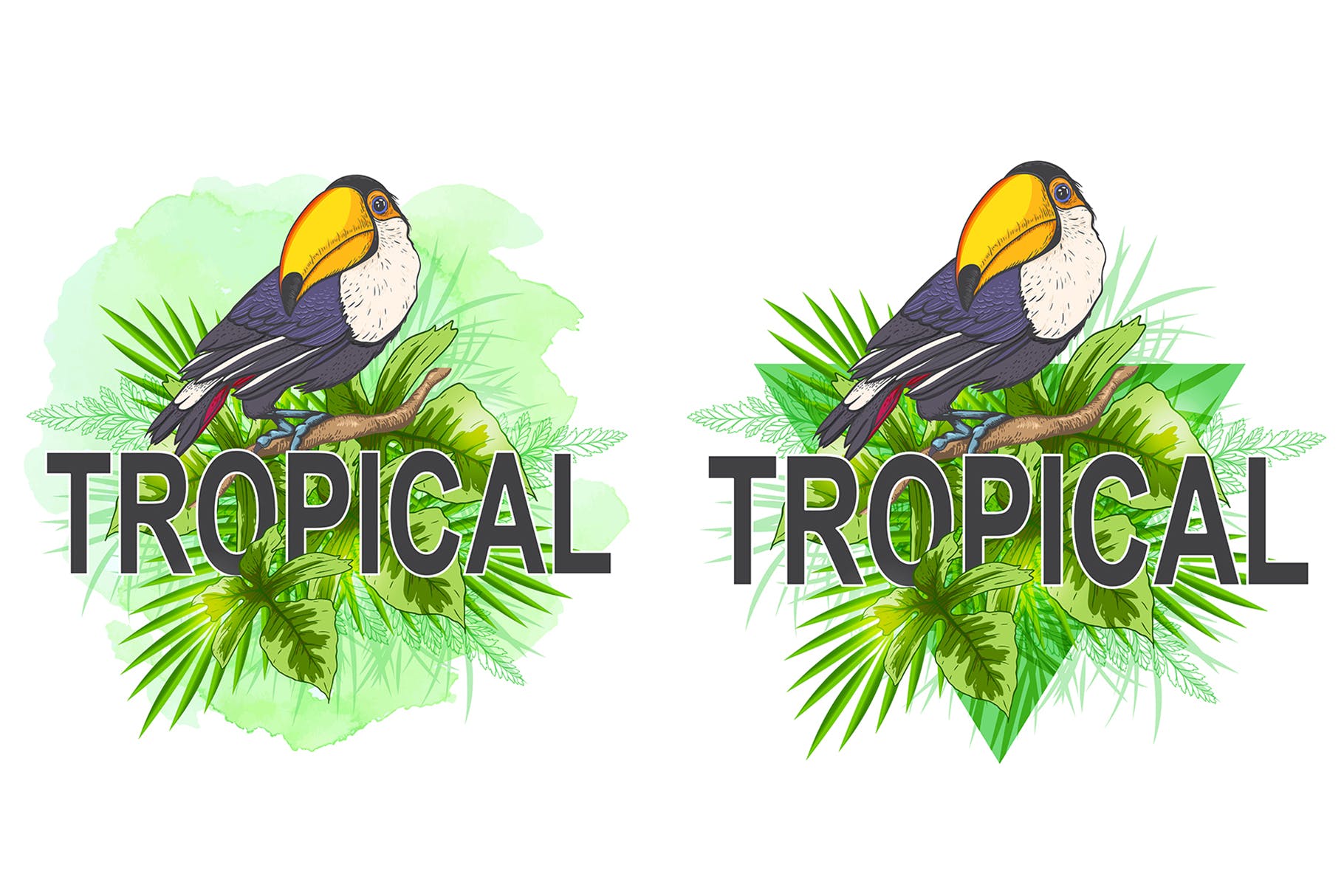 巨嘴鸟&花卉水彩手绘矢量插画素材 Tropical Vibes Vector Design Kit插图(1)