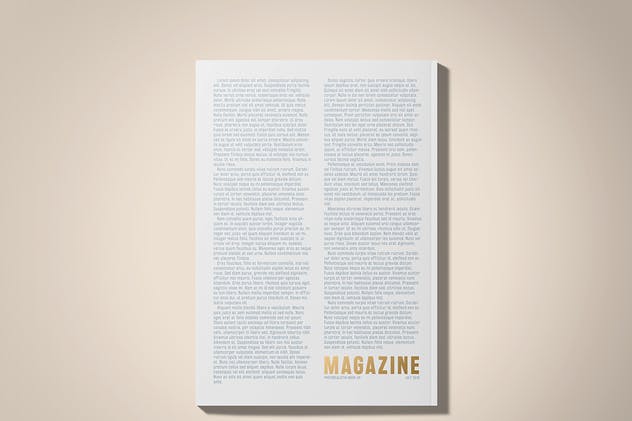 A4烫金印字杂志样机 A4 Foil Stamping Magazine Mock-Up插图(5)