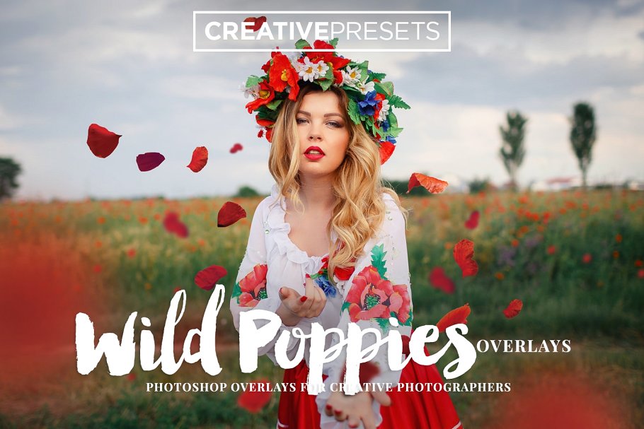 浪漫野生罂粟叶照片处理叠层 Wild Poppies Photo Overlays插图