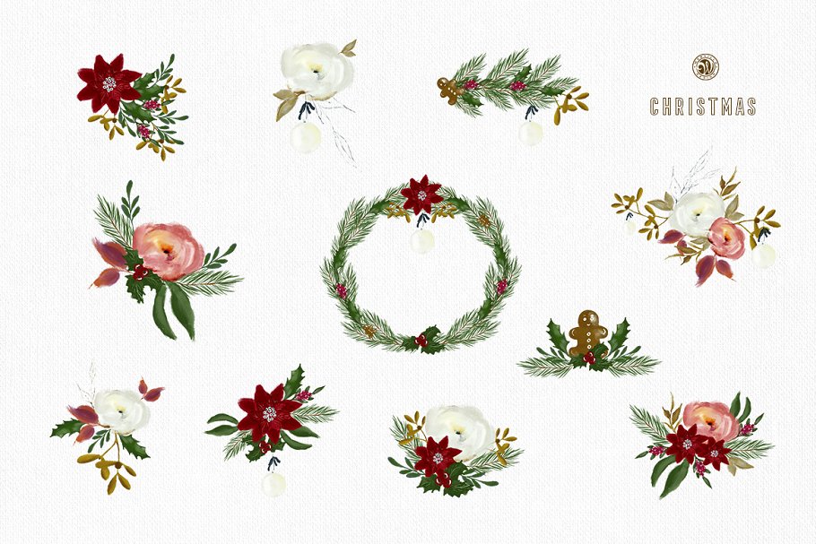 圣诞主题花卉绘画素材 Christmas Paint Illustrations插图(6)