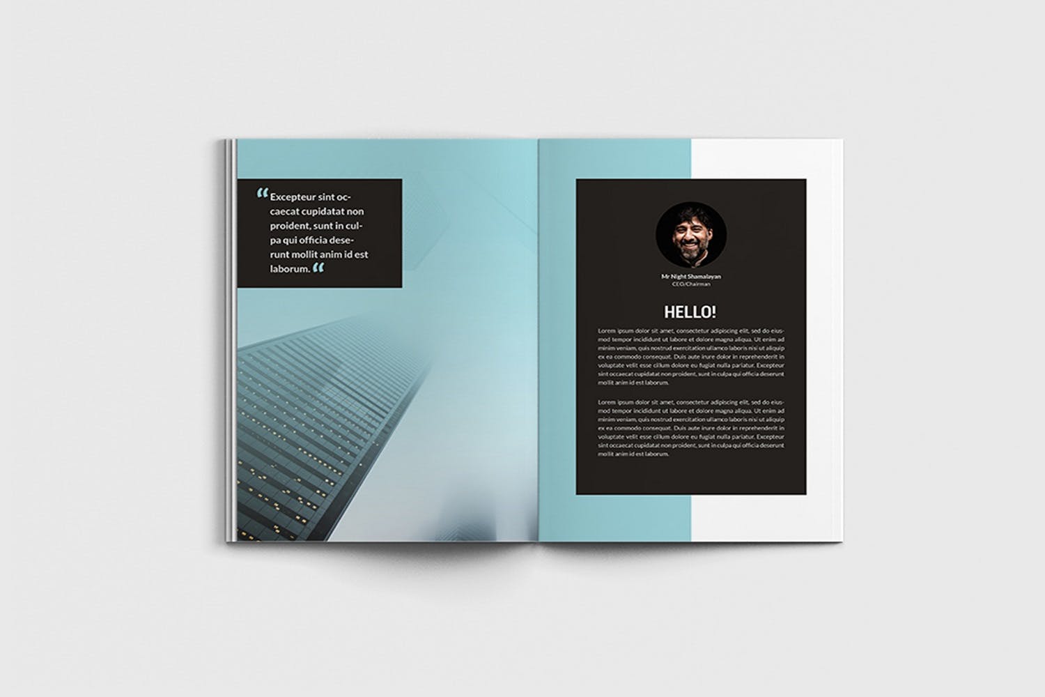 市场营销规划方案/计划书设计模板 Marketita – A4 Marketing Brochure Template插图(2)