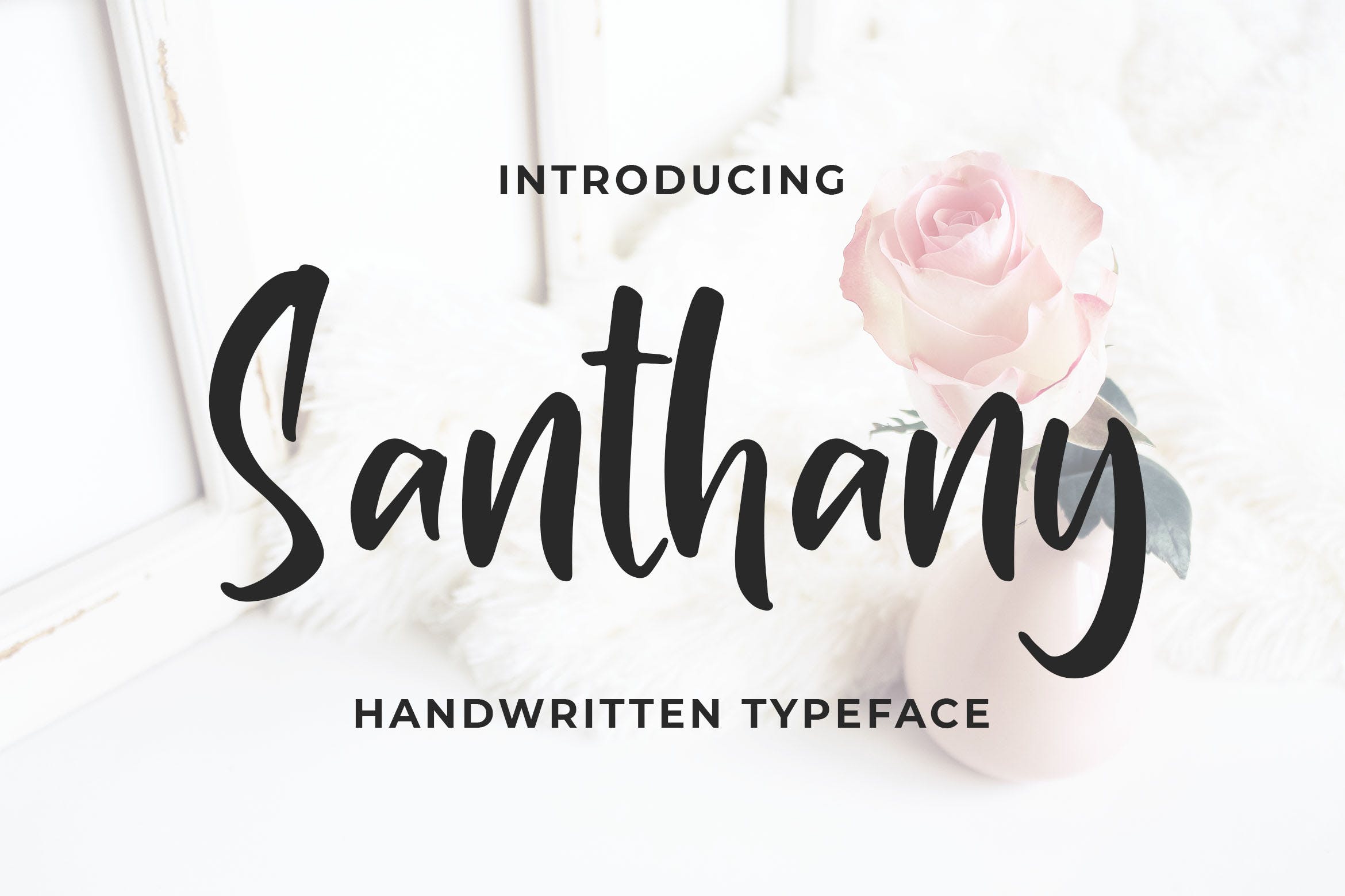 签名/品牌设计适用的英文书法字体 Santhany – Handwritten Typeface插图