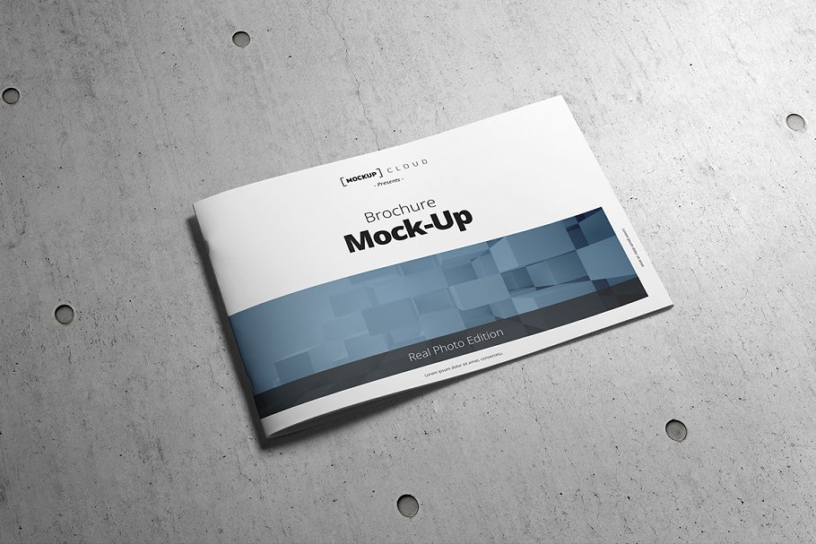 产品手册企宣小册子样机模板 Brochure Mock-Up / A4 Landscape插图