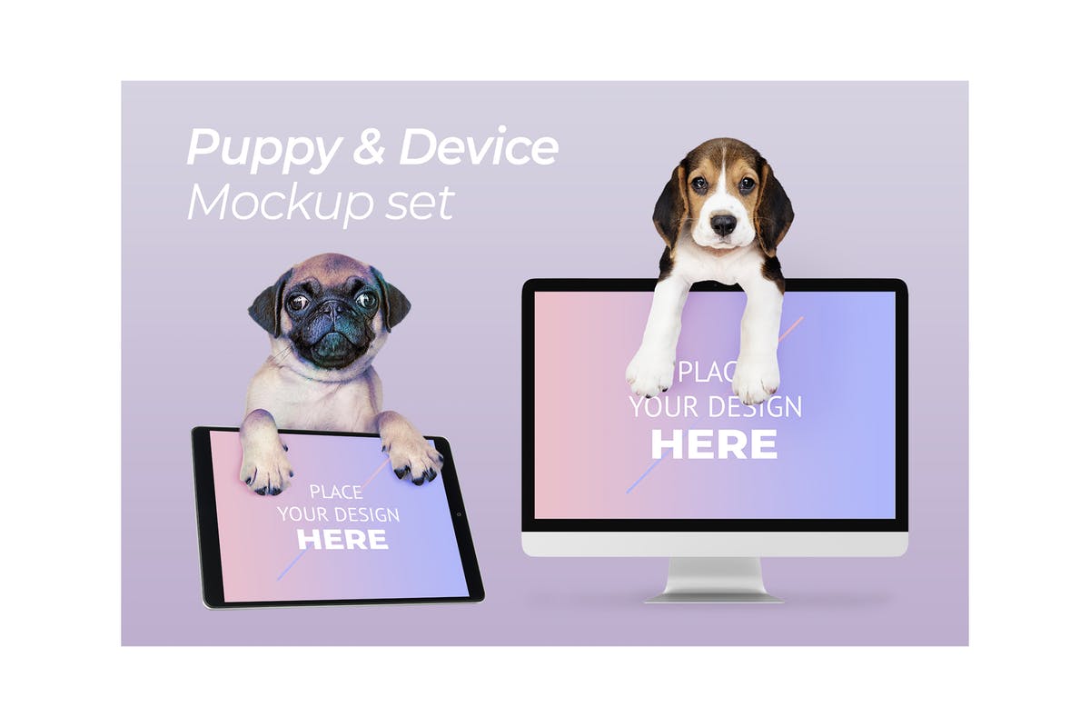 宠物主题网站设计演示电脑样机模板 Dog with Computer Mockup插图