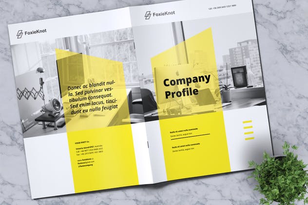 24页公司简介宣传册画册设计模板 FOXIEKNOT – Company Profile Brochure插图(13)