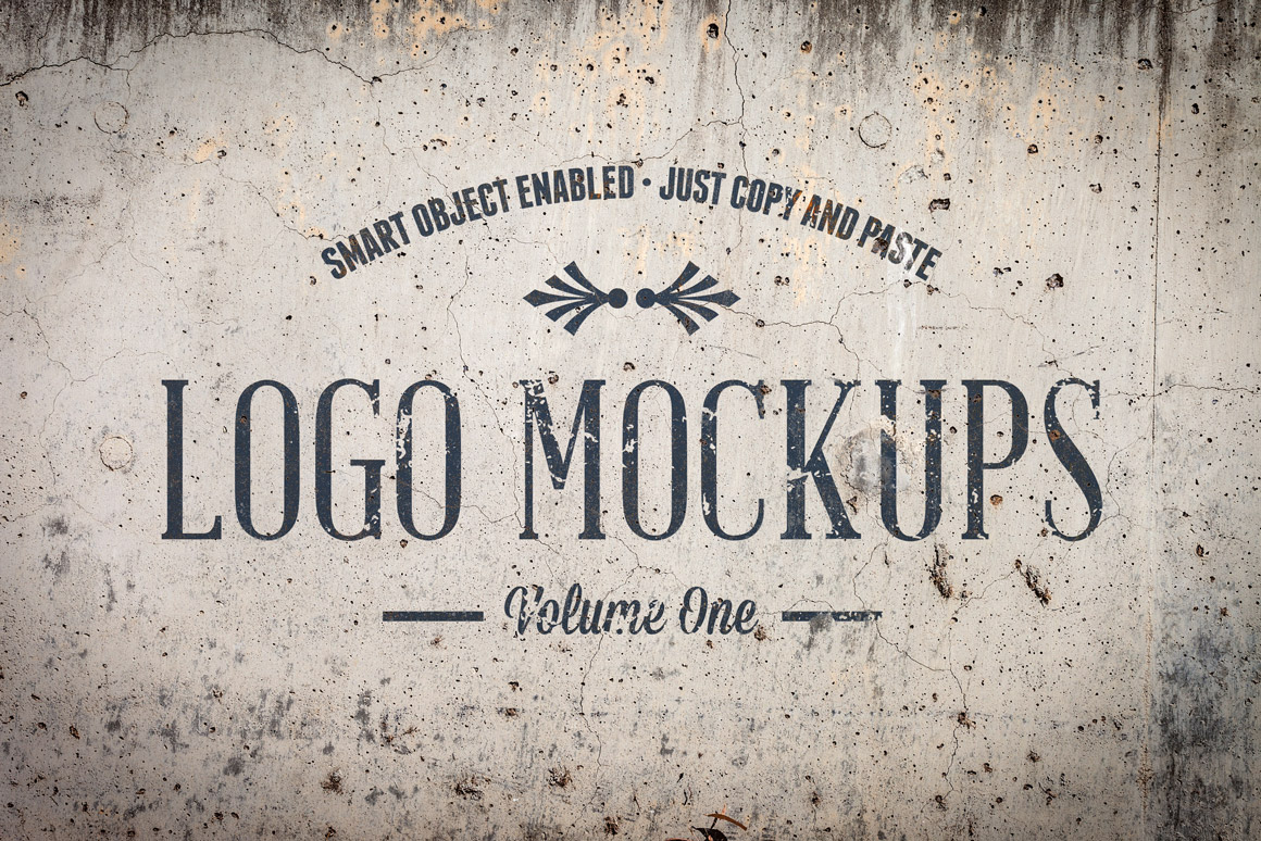 复古 Logo 展示样机模版 Vintage Logo Mockups Volume 1插图(2)