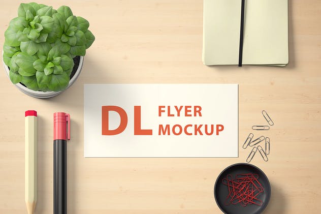 高品质横向DL传单样机套装v1 Landscape DL Flyer Mockup Set 1插图(1)