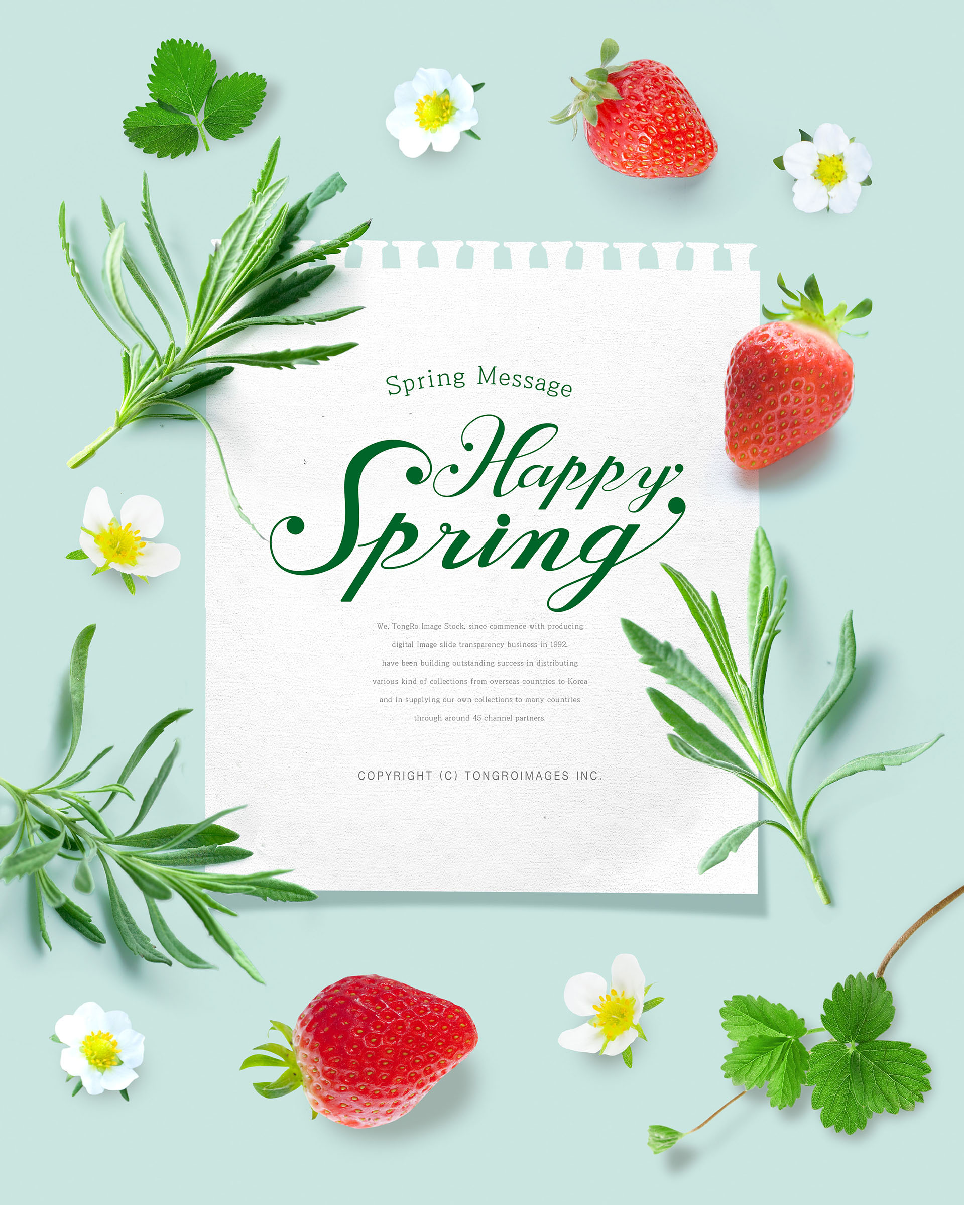 清新的春天氛围创意海报模板PSD插图(11)