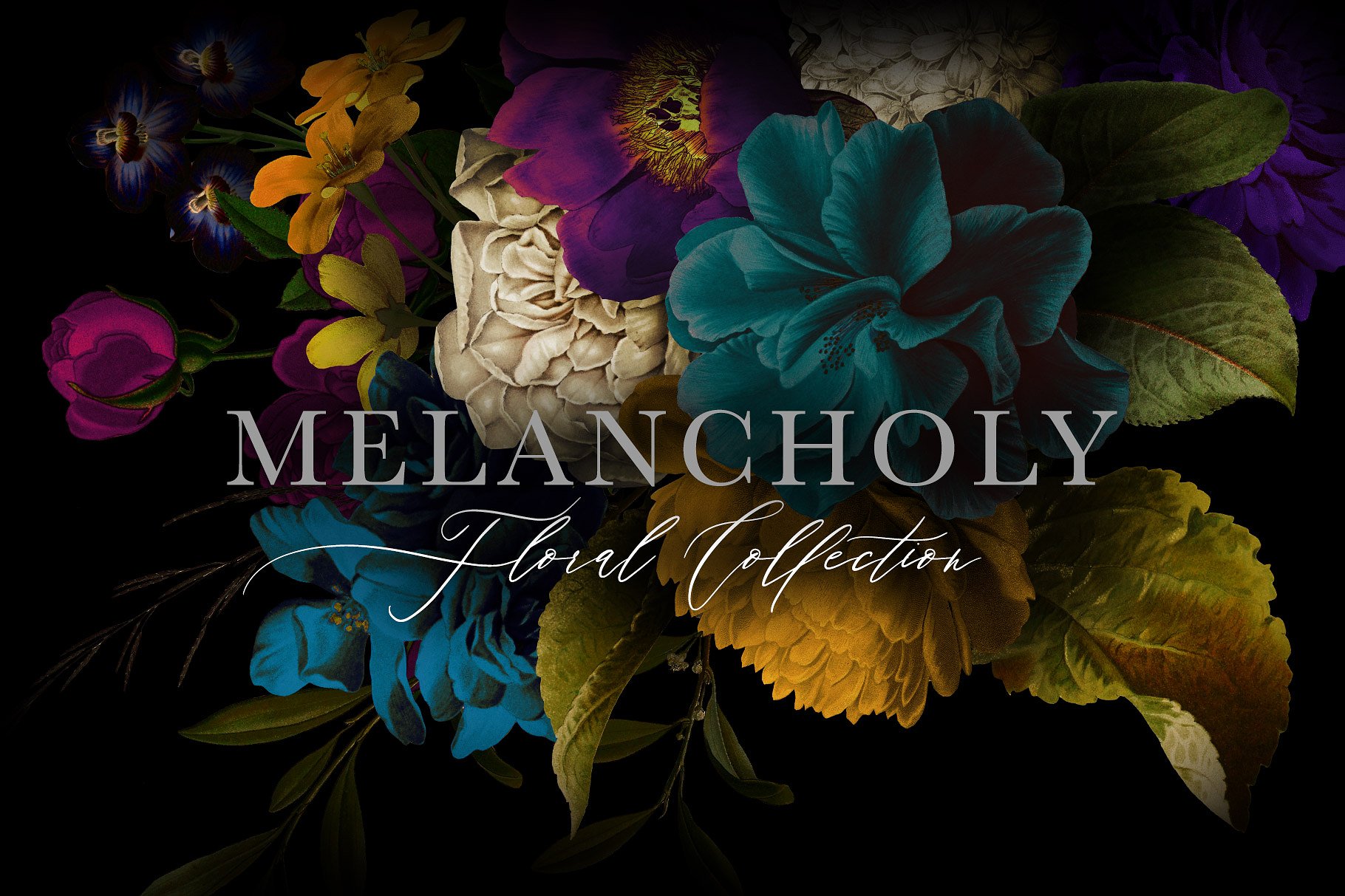 忧郁格调花卉插画合集 Melancholy Floral Collection插图