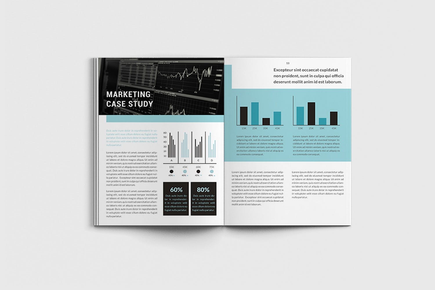 市场营销规划方案/计划书设计模板 Marketita – A4 Marketing Brochure Template插图(6)