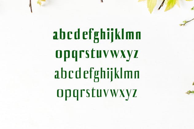 平面设计排版英文衬线字体套装 Axell Serif Font Family插图(2)