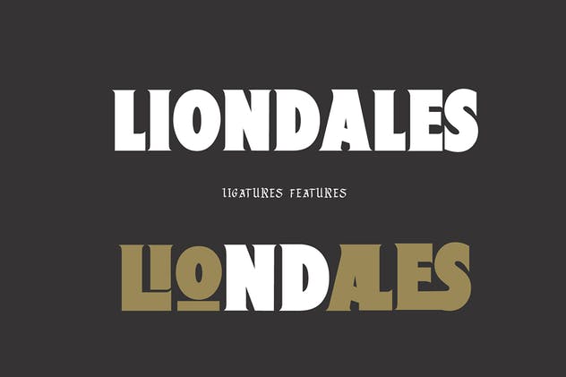 现代版式设计英文衬线字体 Liondales & Extra插图(5)
