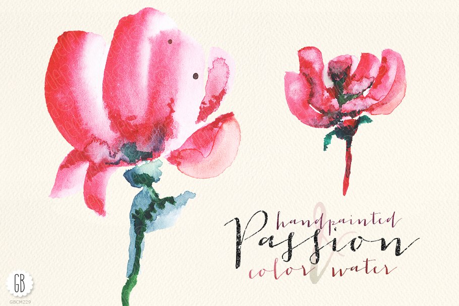 半透明红色花卉水彩剪贴画 Aquarelle watercolor red flowers插图(1)