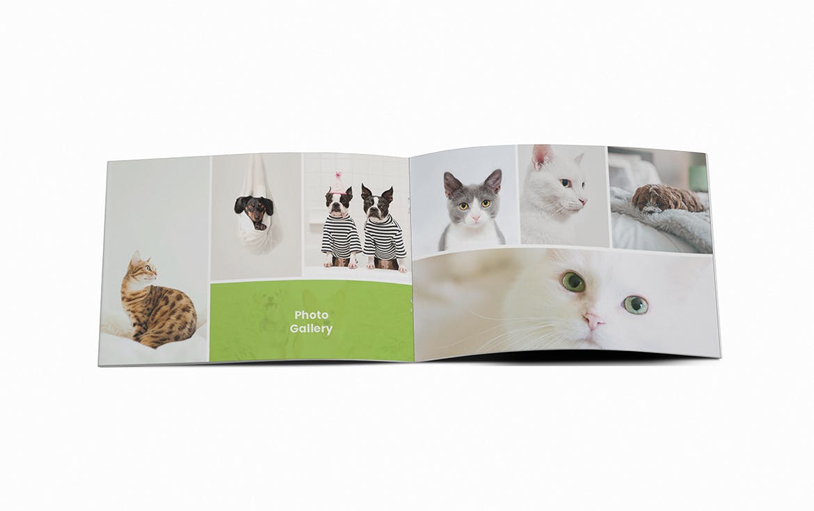 宠物店/宠物医院A5宣传册设计模板 Pet Shop A5 Brochure Template插图(11)