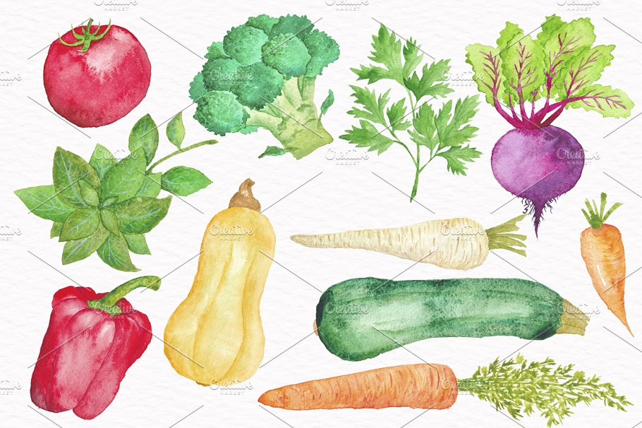 水彩蔬菜插画合集 Vegetable Watercolor Collection插图(2)