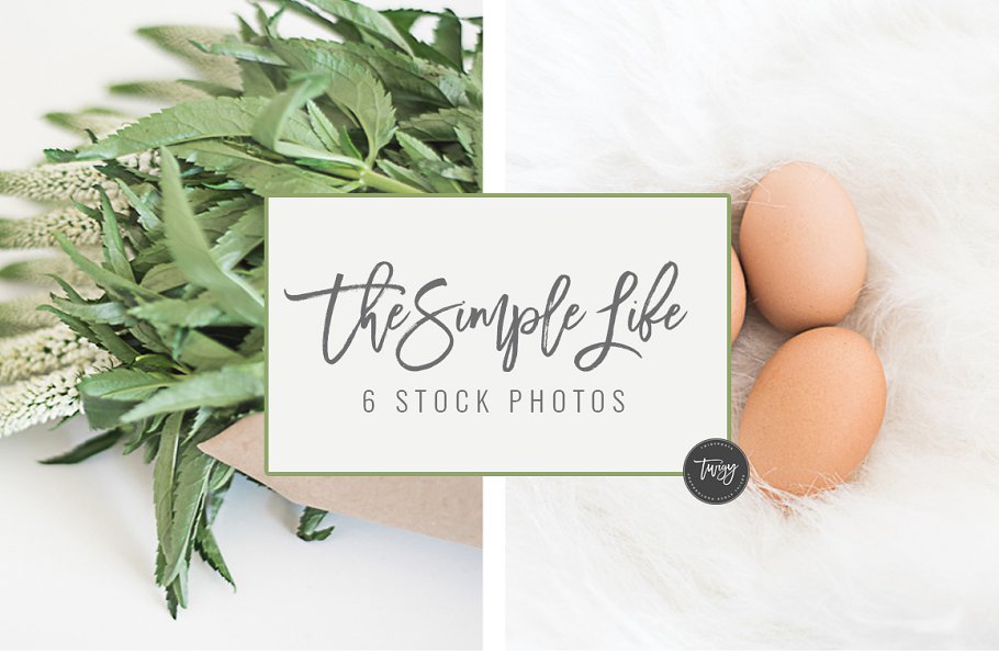 简约生活场景样机模板 Simple Life Stock Photos + 4 FREE插图(4)
