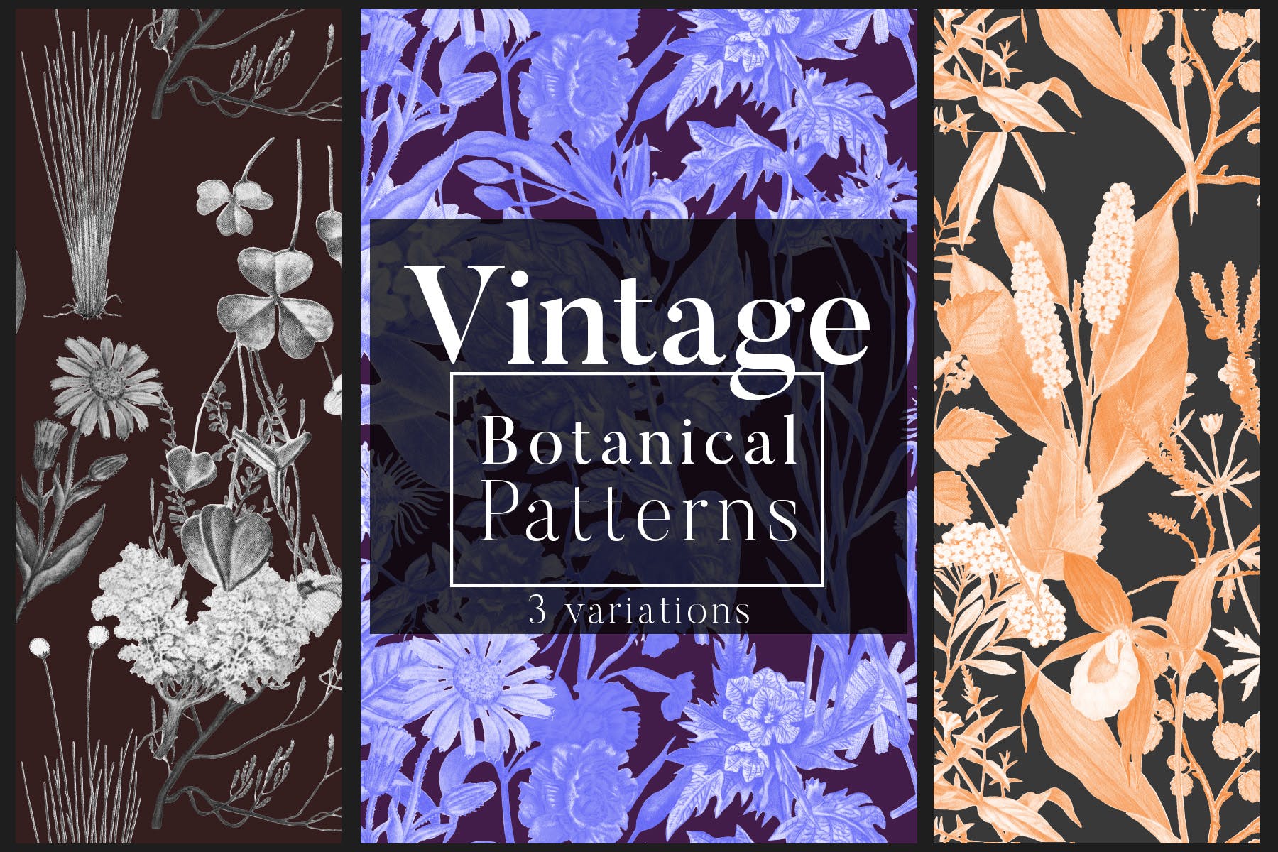 高清复古植物图案背景设计素材 Vintage Botanical Patterns插图
